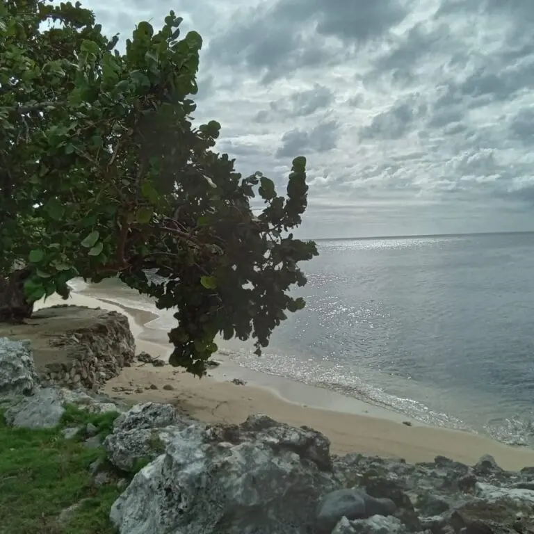 The main beach after Hurricane Beryl