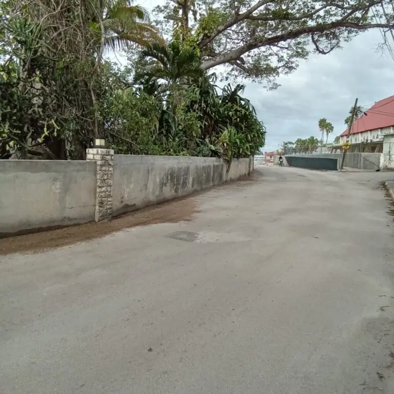 Roadside view of cotton trees in Negril Jamaica after Hurricane Beryl