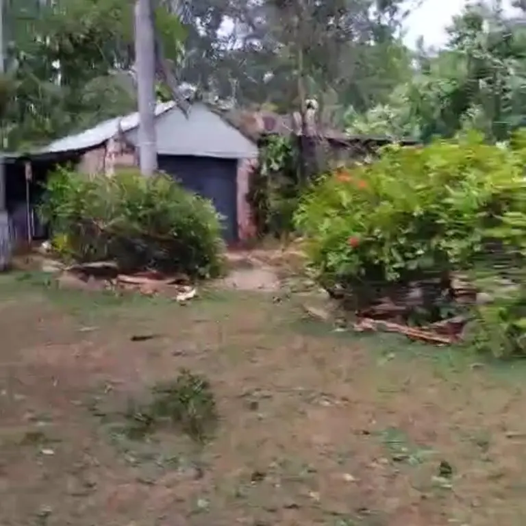 Morning After Hurricane Beryl