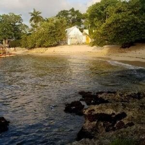 The cove