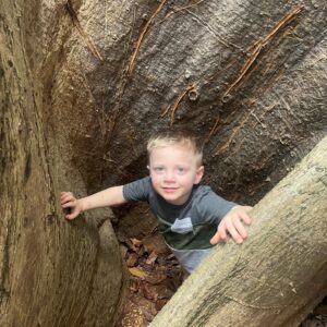 Boy in tree root