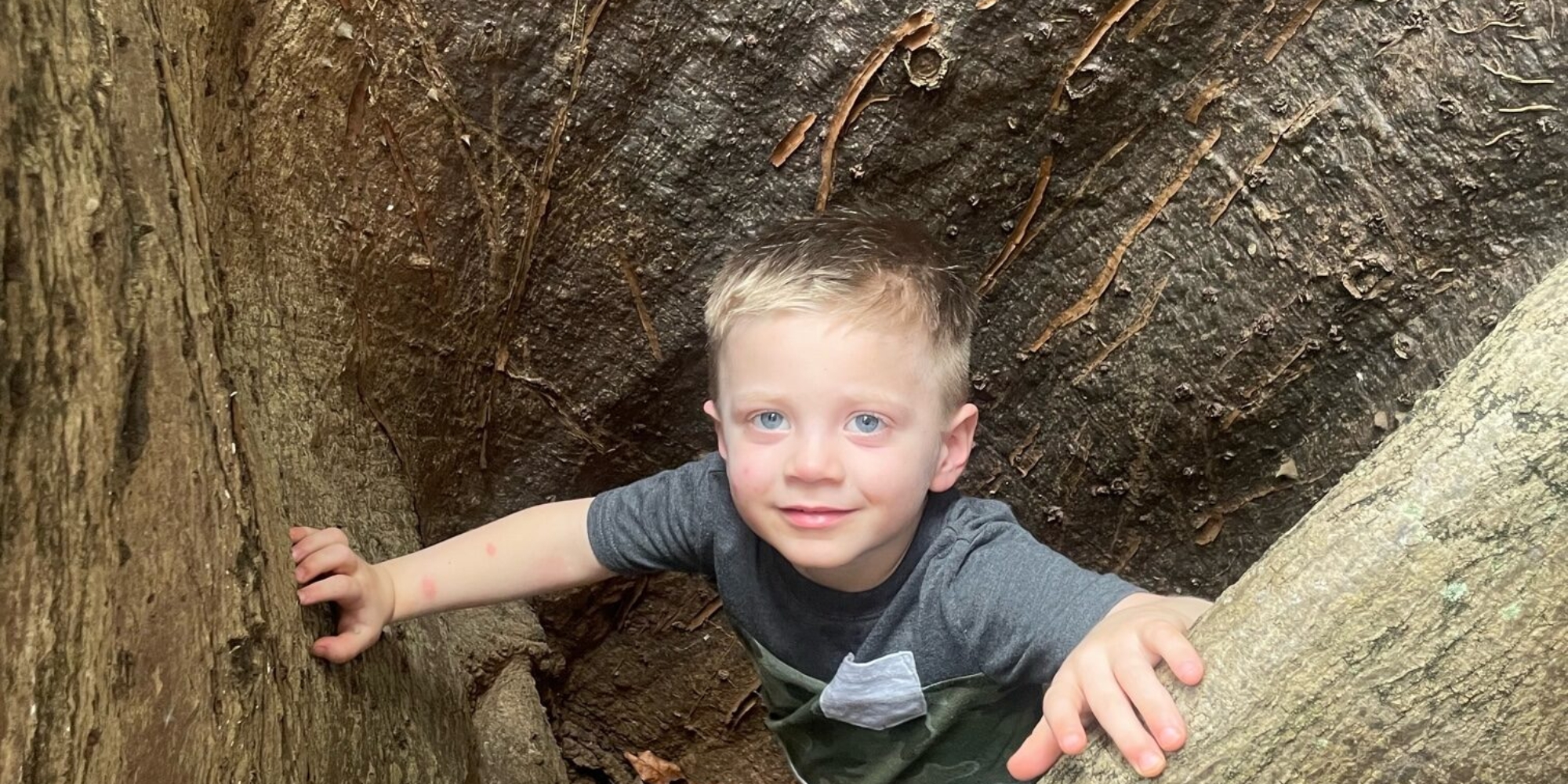 Boy in tree root